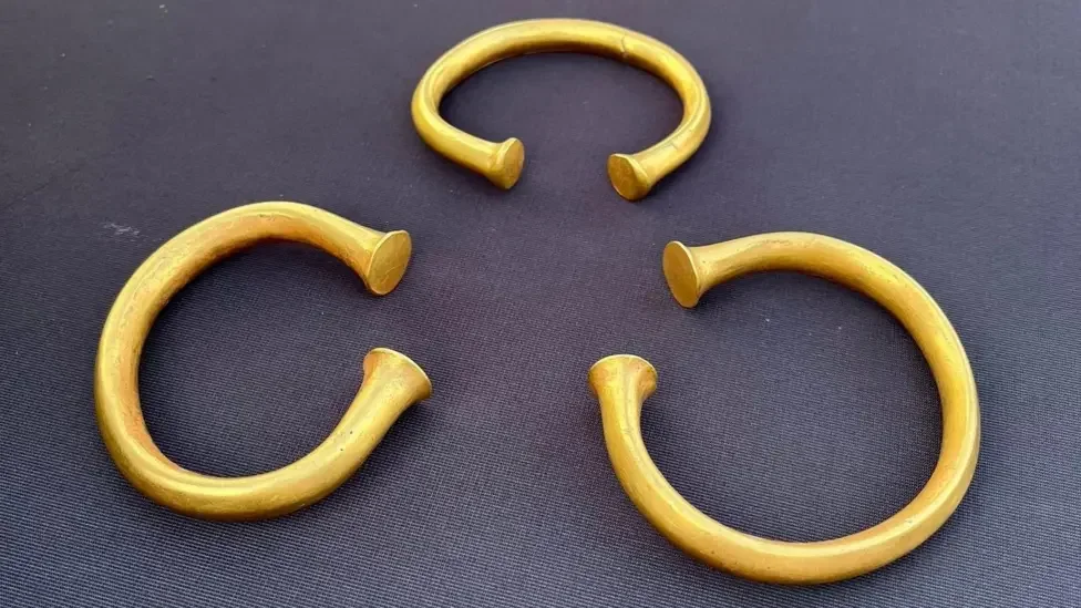 The three complete Bronze Age gold torcs found near Carlisle in May 2026, laid out on a dark background